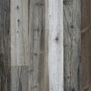 Gray Polar Barnwood