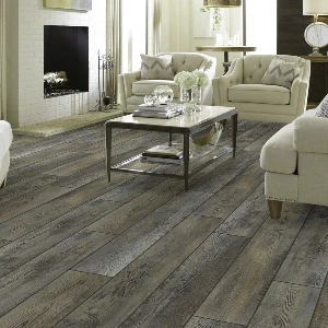 Living Room SPC flooring