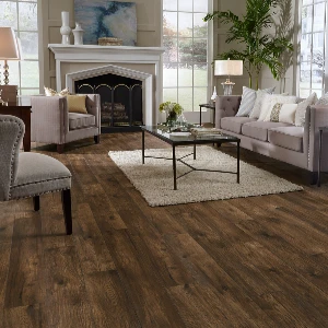 Living Room Wood Look Space