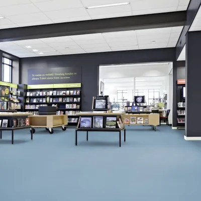 Vintage Blue Linoleum Flooring